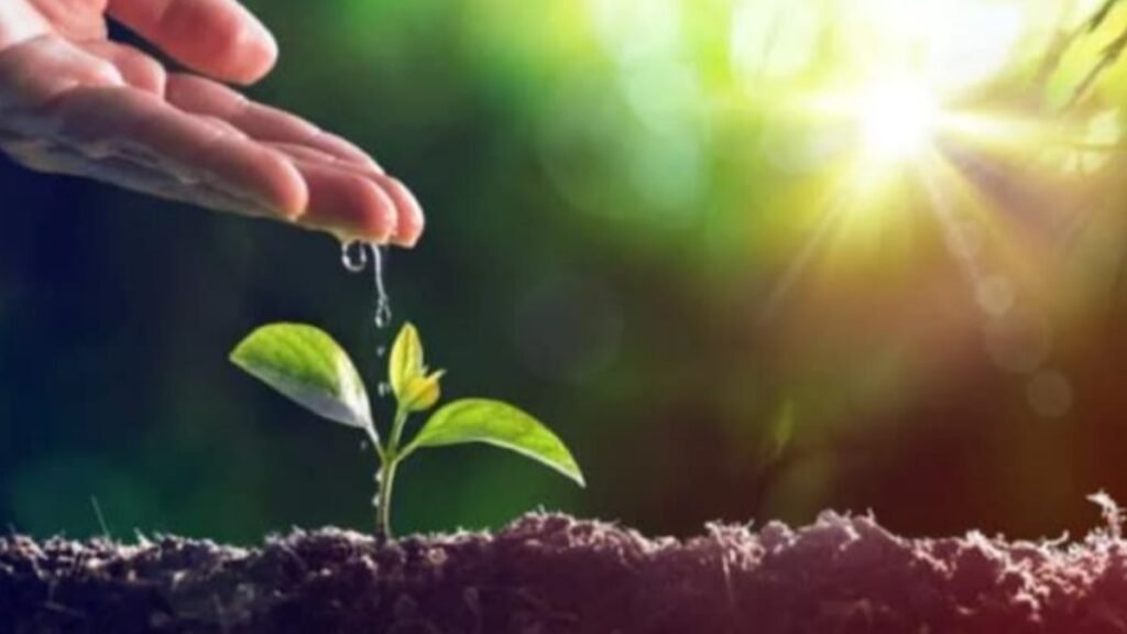 World environment day 1