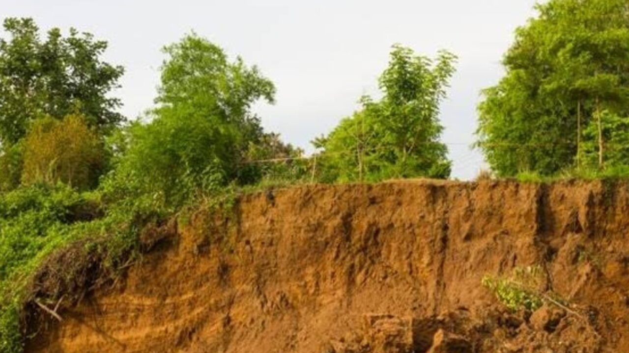 उत्तराखंड के जंगलों में Land Erosion से बड़ा नुकसान, आग से राहत लेकिन बरसात बनी आफत